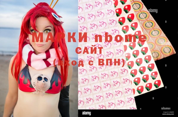 Альфа ПВП Бородино