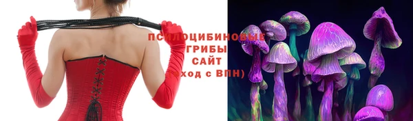 СК Бронницы