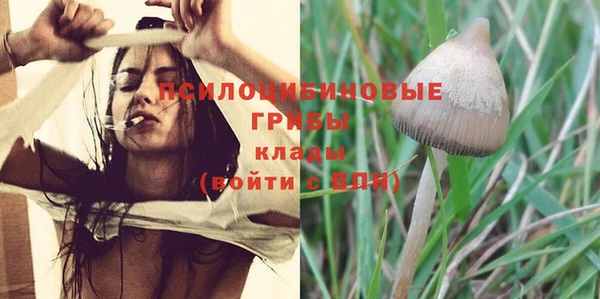 mdpv Бугульма