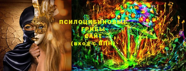 mdpv Бугульма