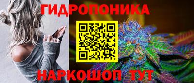 Альфа ПВП Жуковский