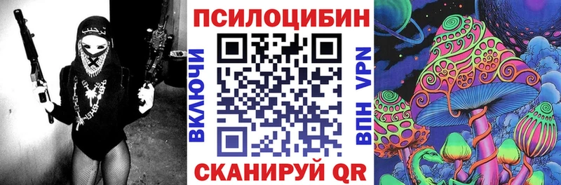 Галлюциногенные грибы Psilocybe  Выборг 