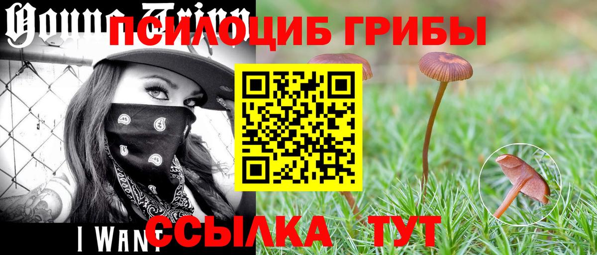 Псилоцибиновые грибы Magic Shrooms Выборг